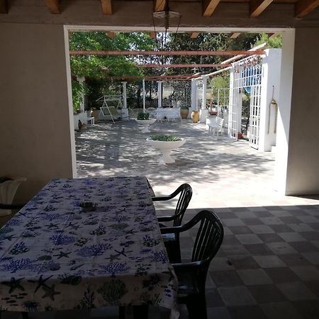 Wild Paradise Canosa di Puglia Bagian luar foto